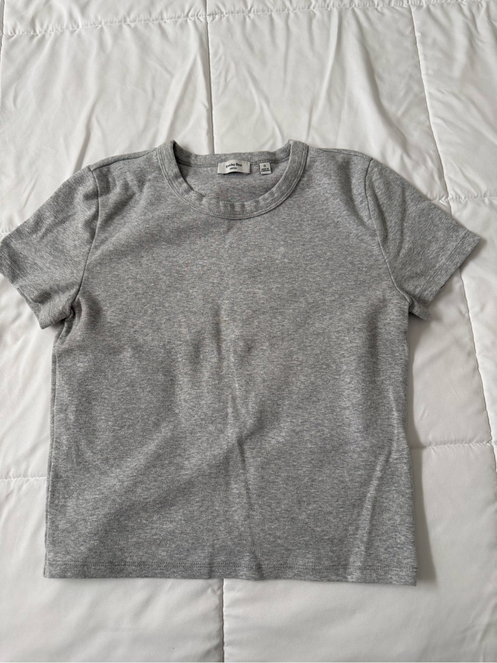 Aritzia Gray Short Sleeve Crew Tee